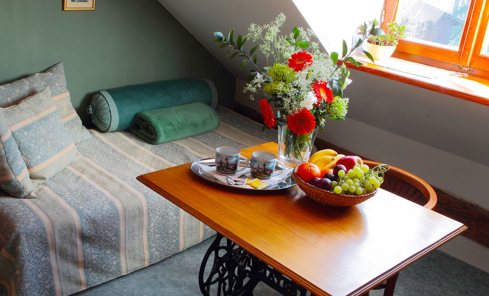 Wellness Pension Ametyst Český Krumlov Buitenkant foto
